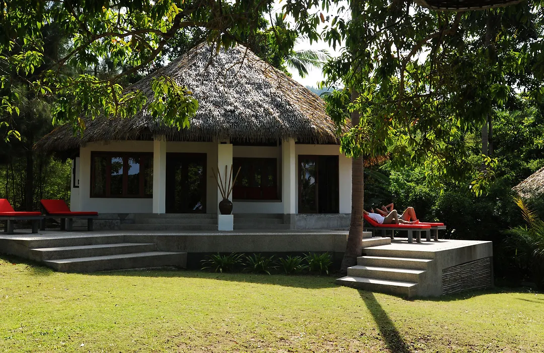 The Jungle Club-1
