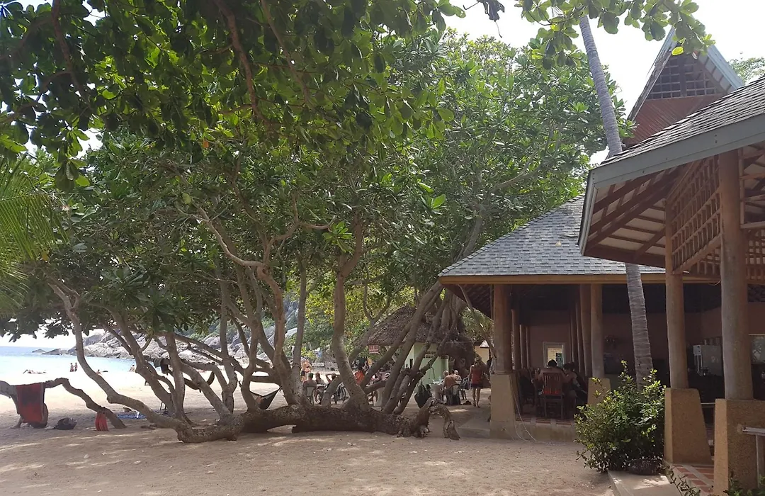 Diamond Beach Resort-1