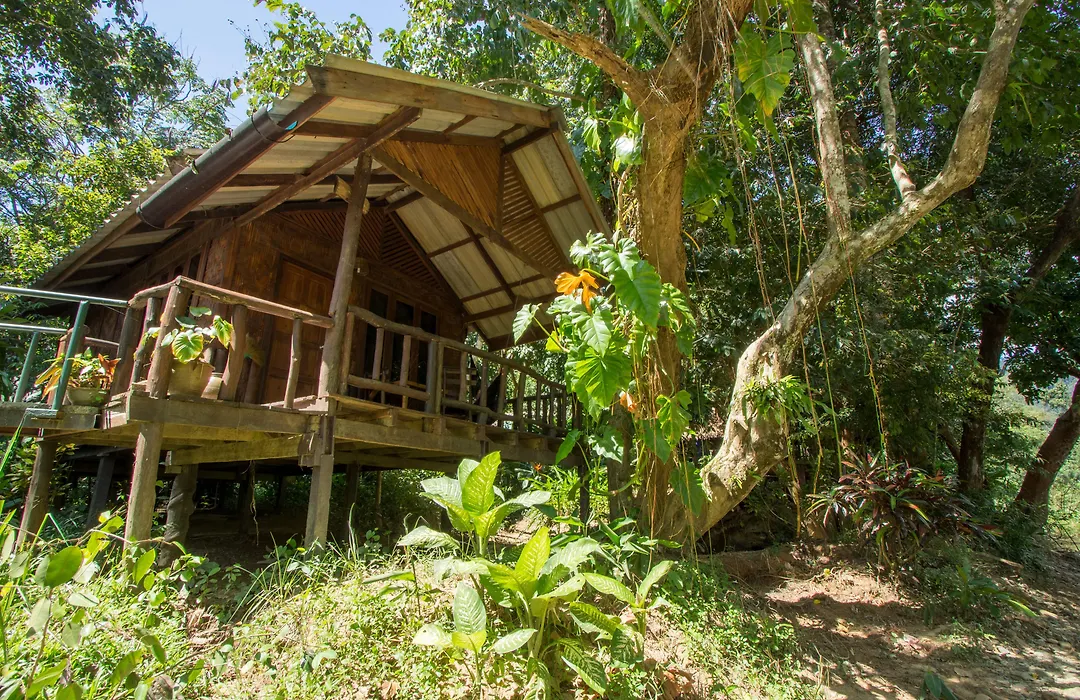 Khao Sok Riverside Cottage-1