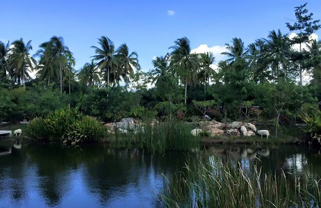 Ruean Thai Nai Bang By Pansak Resort-1