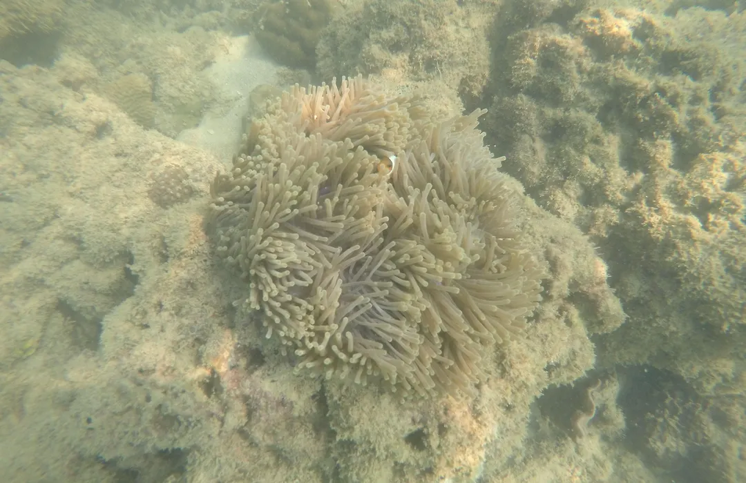 Laoliang Beach-1