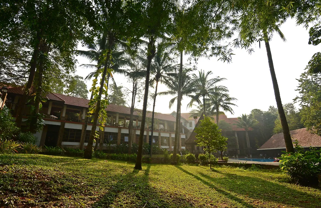 Sappraiwan Elephant Resort & Sanctuary-1