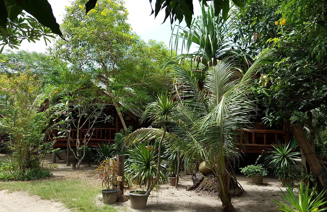 Pasai Beach Lodge-1