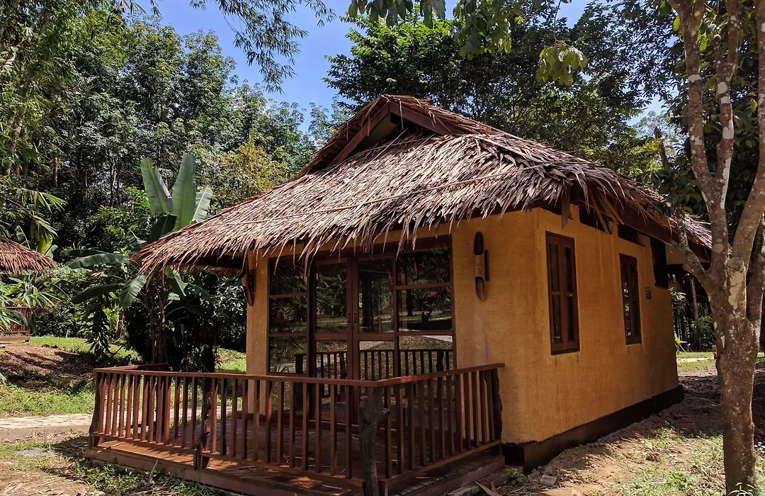 Our Jungle Camp-1