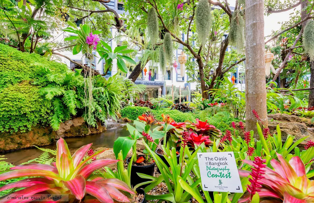 Bangkok Oasis Hotel-1