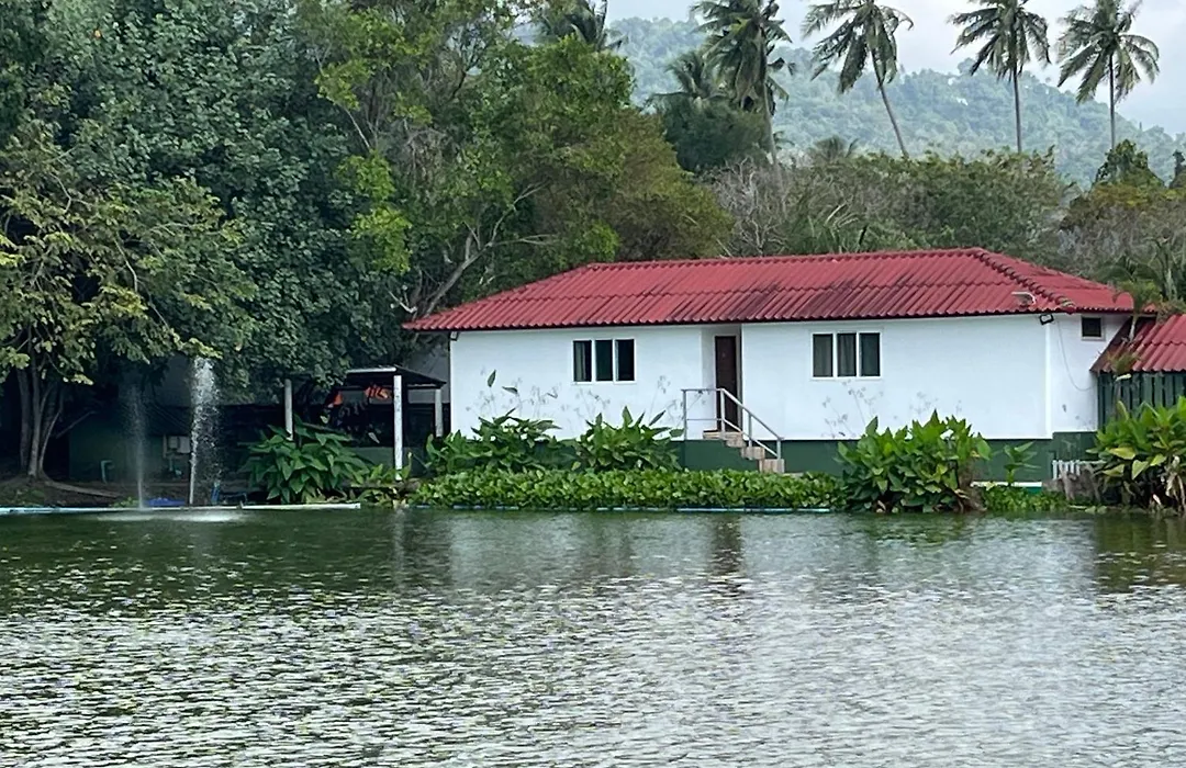 Topcats Fishing Resort-1
