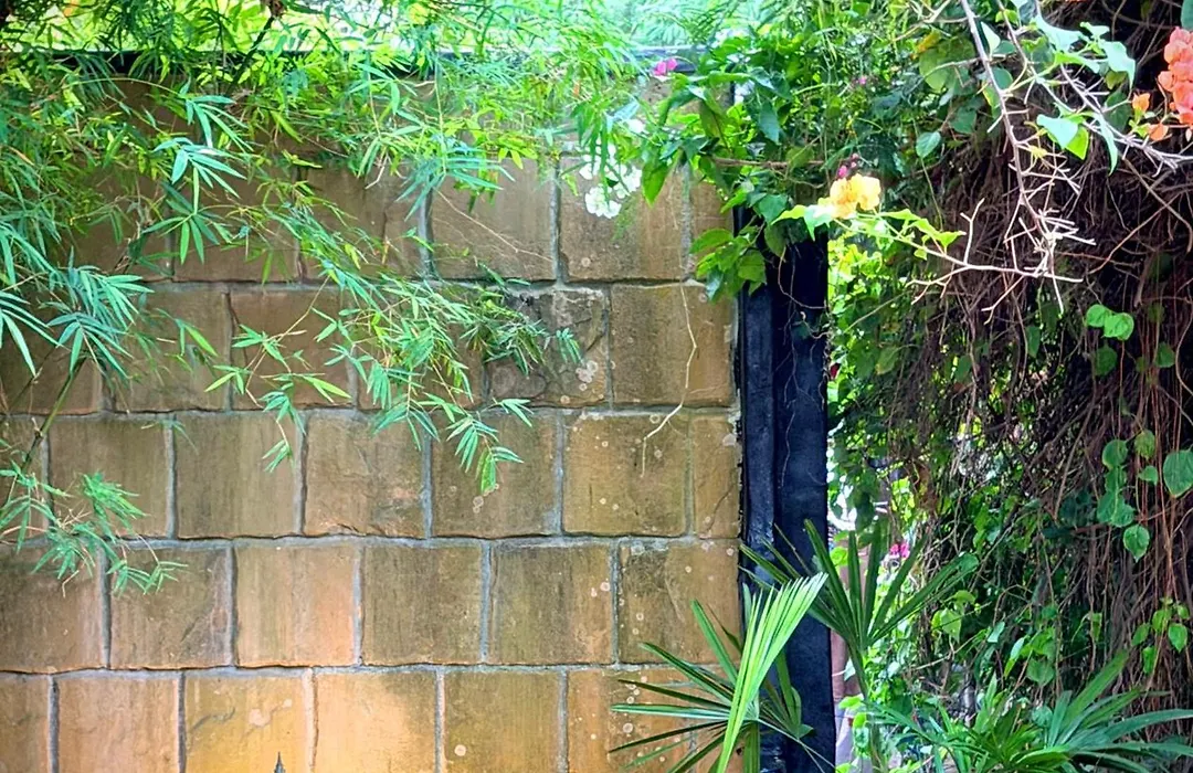 Alcove Bungalow-1