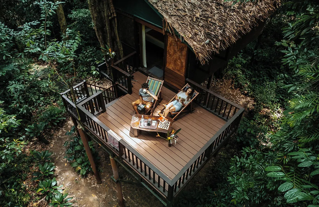 Our Jungle House-1