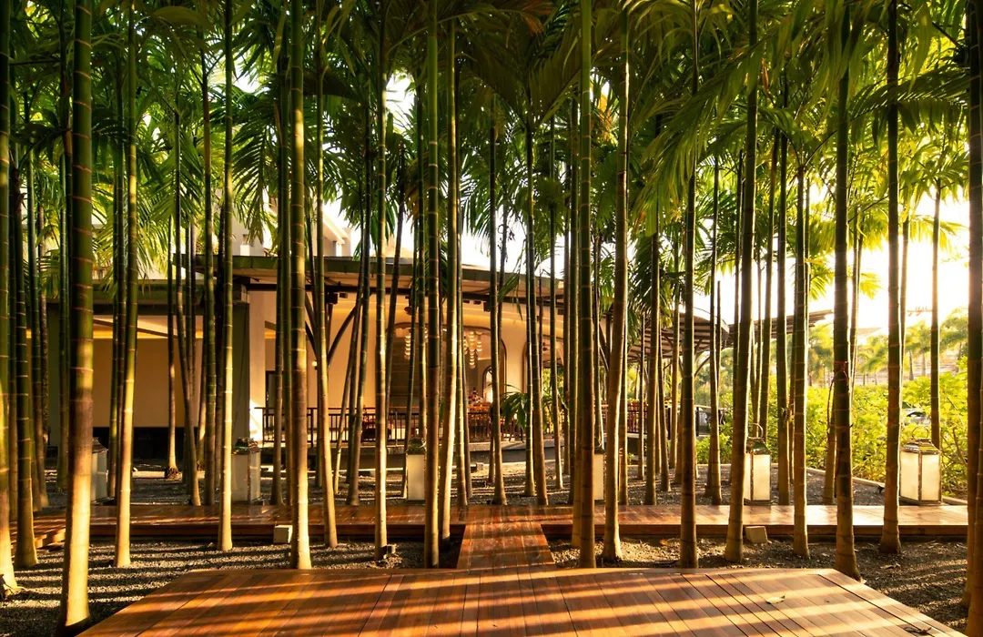 Areca Resort And Spa-1