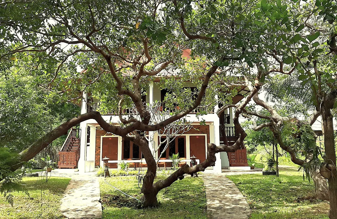 Doo Dee Boutique Resort By Swiss Chalet-1