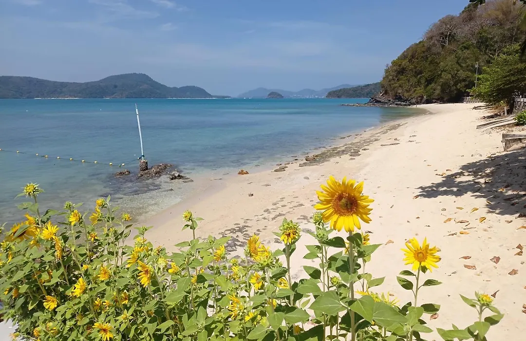 Sea Panwa Beach-1