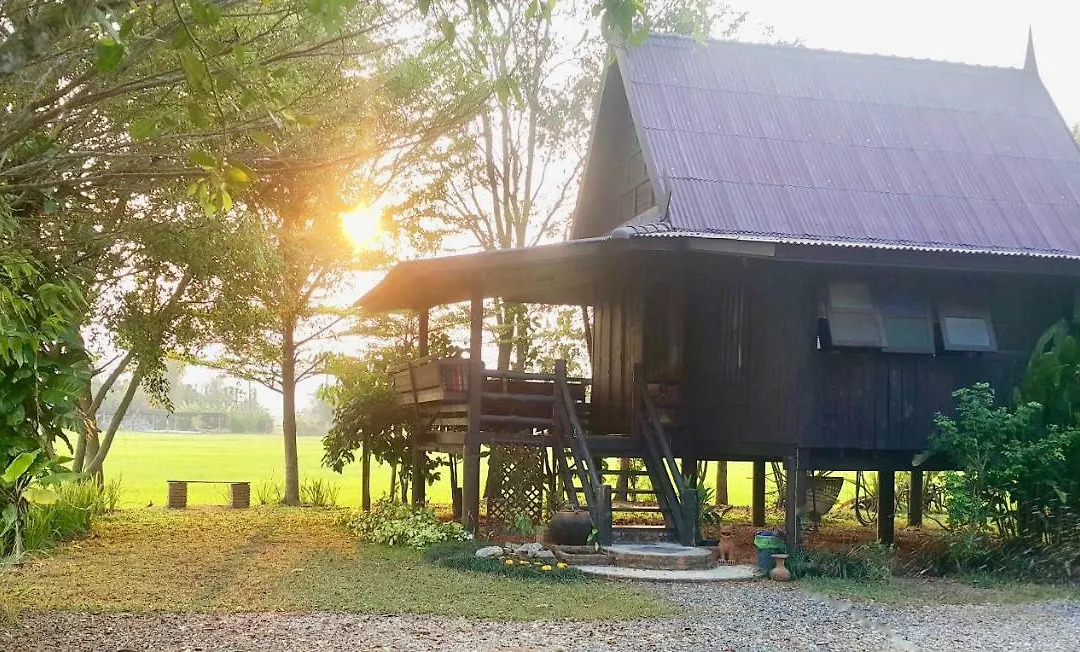 Tung Tong Homestay & Camping-1