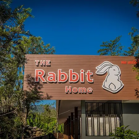 The Rabbit Home-2