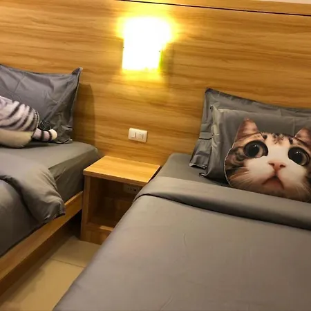 Cat Story Hotel-2