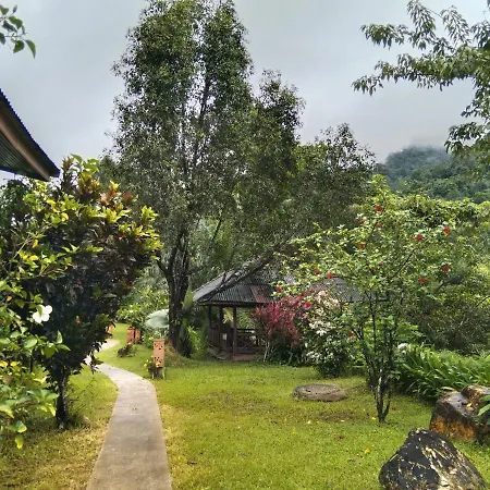 Khao Sok River & Jungle Resort-3