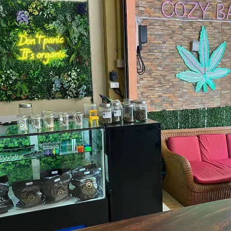 Cozy Place-2