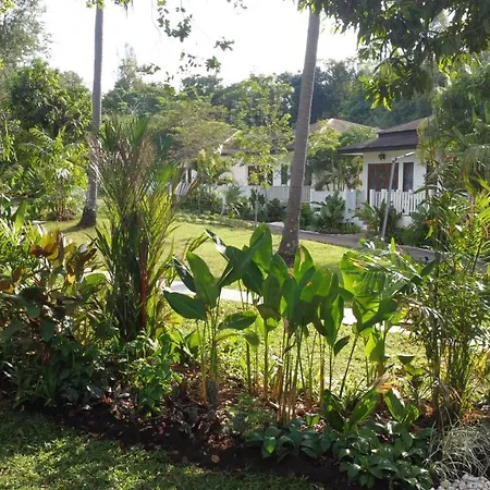 Treeya Lanta-3