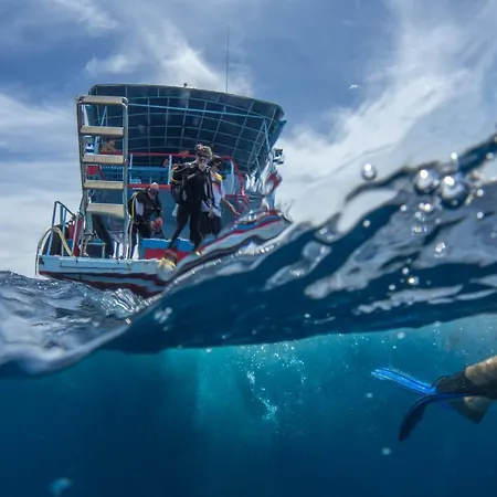 Divers House-2