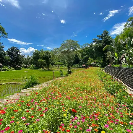Fern Resort Mae Hong Son-3