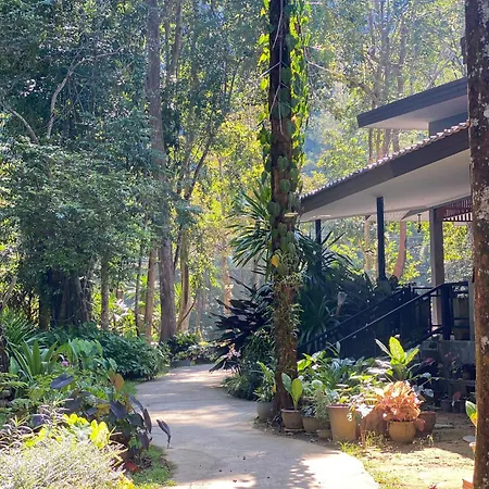 Khao Sok Nature Resort-2