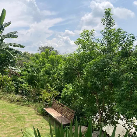 Maesa Greenery Hill Sha-3