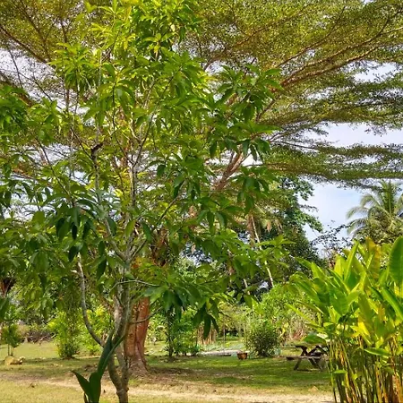 Baan Bua Cottage-3