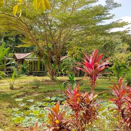 Baan Bua Cottage-2