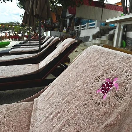 Blue Turtle Hotel Samui-2