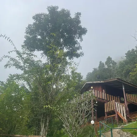 Forest Guesthouse-3