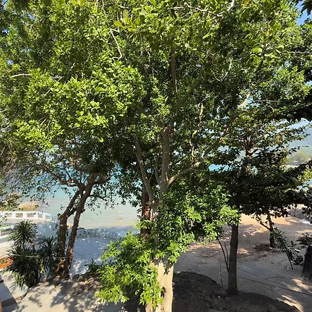 Ocean View Resort-3