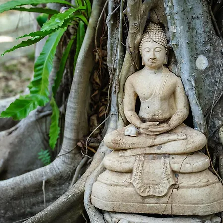 Samahita Retreat-3
