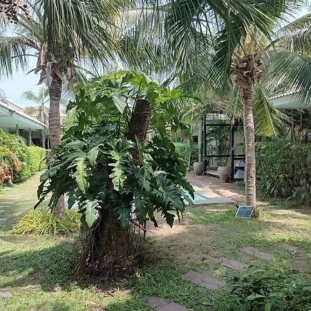Tropical House​-3