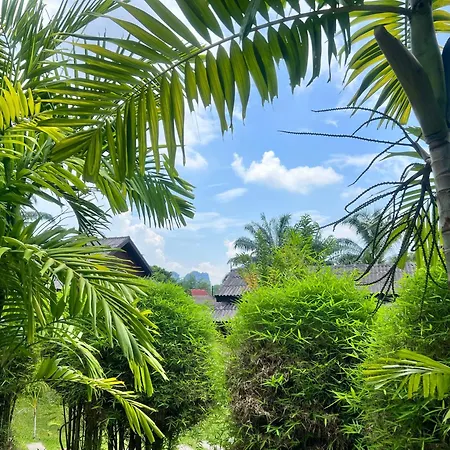 Palm Kiri Aonang Resort-2