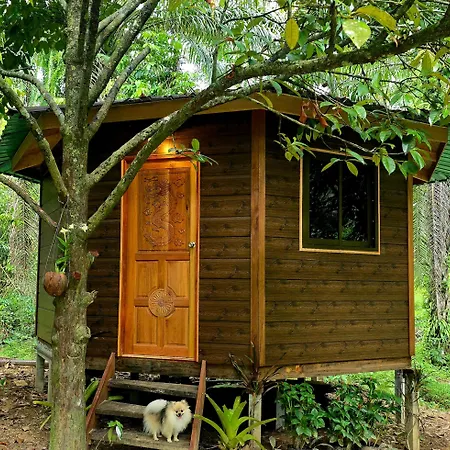 Khao Sok Silver Cliff Resort-3