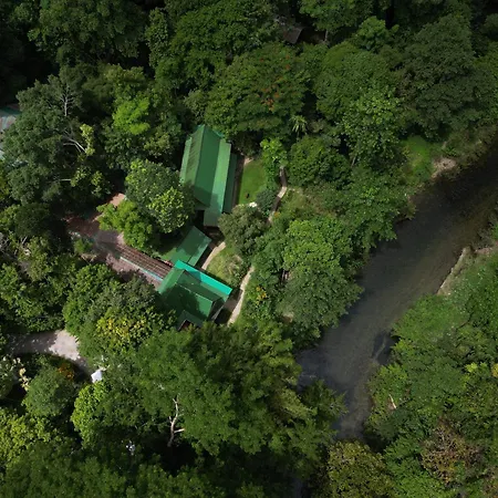 Our Jungle House-2