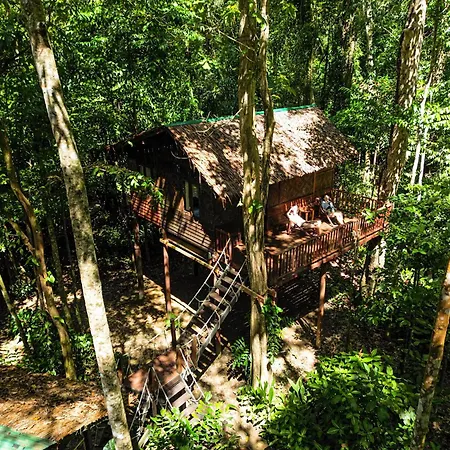 Our Jungle House-3