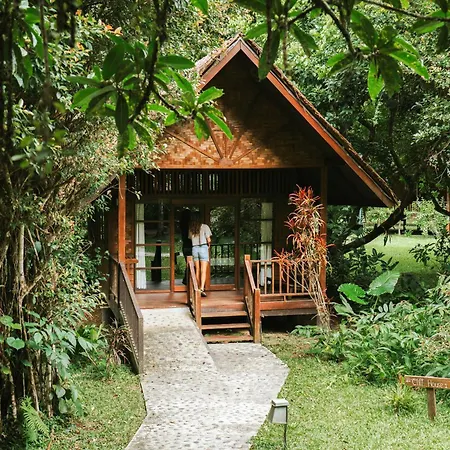 Our Jungle House-2