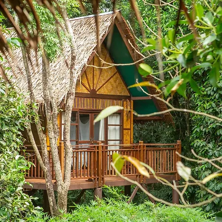 Our Jungle Camp - Eco Resort-2
