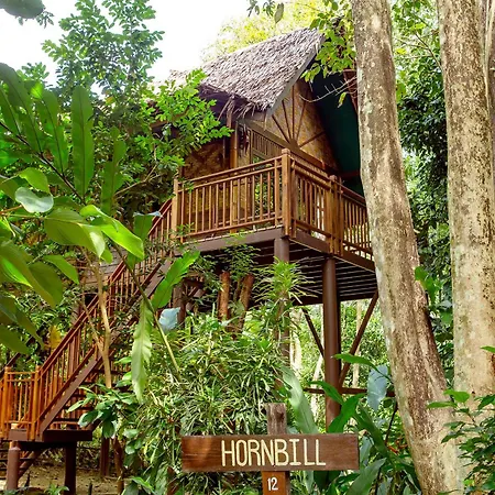 Our Jungle Camp - Eco Resort-3