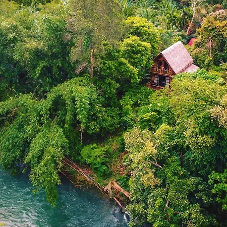 Our Jungle Camp-3