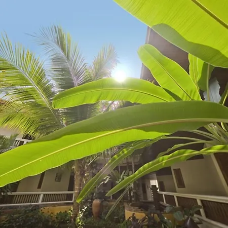 Thai House Beach Resort-3