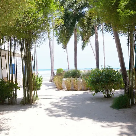 Lime N Soda Beachfront Resort-2