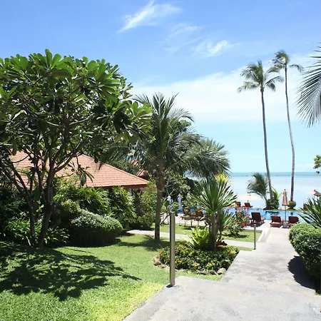 Palm Coco Mantra-2