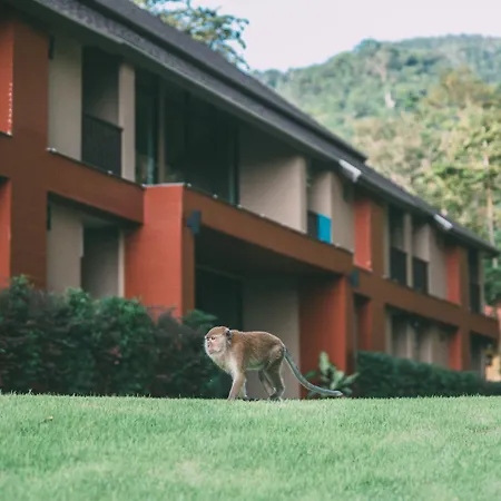 Tonsai Bay Resort-2