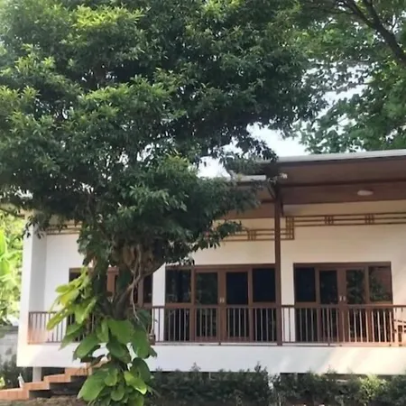 Green Villa-3