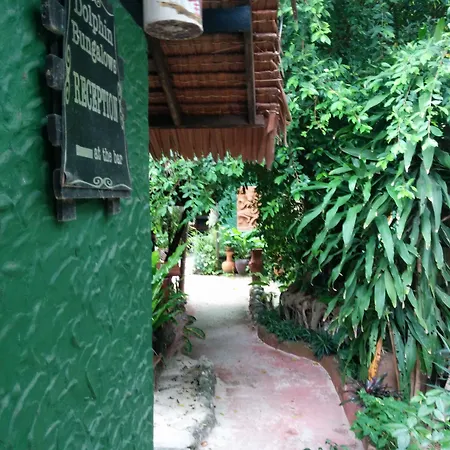 Dolphin Bungalows-3