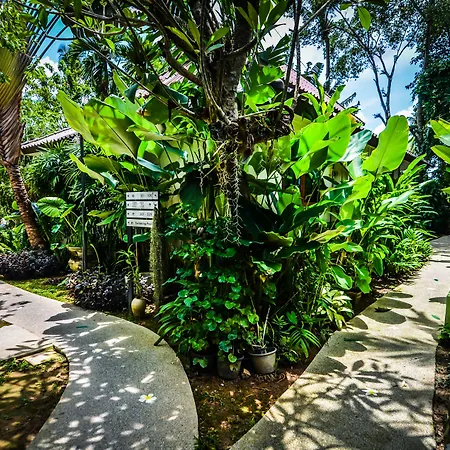 Cocoville Phuket - Sha Plus-2