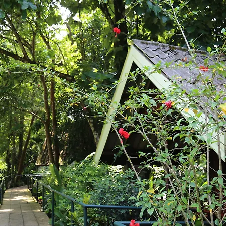 Khao Sok Riverside Cottage-2
