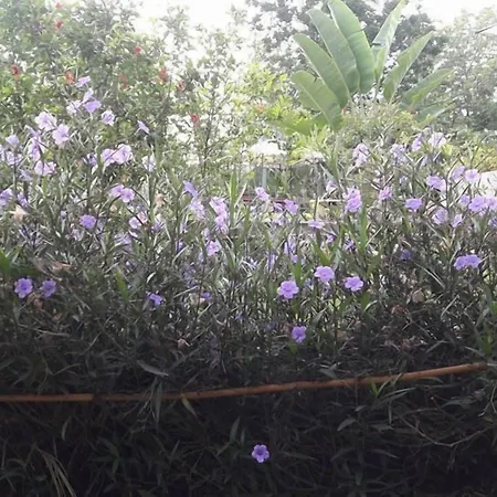 Kanvela Resort-2