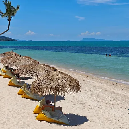 Mimosa Resort & Spa-2